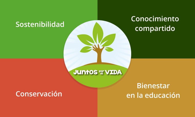 infografía Juntos por la vida